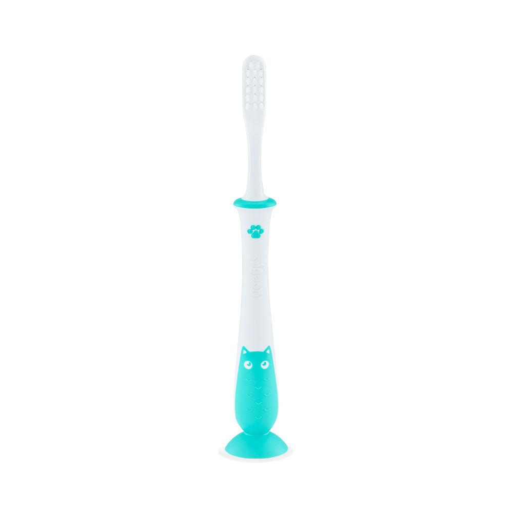 Children Training Tooth Brush Lesson-4 Mint