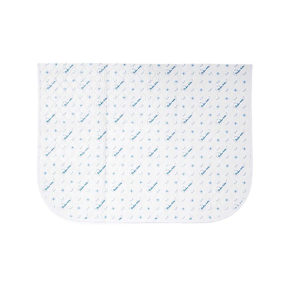CHANGING SHEET